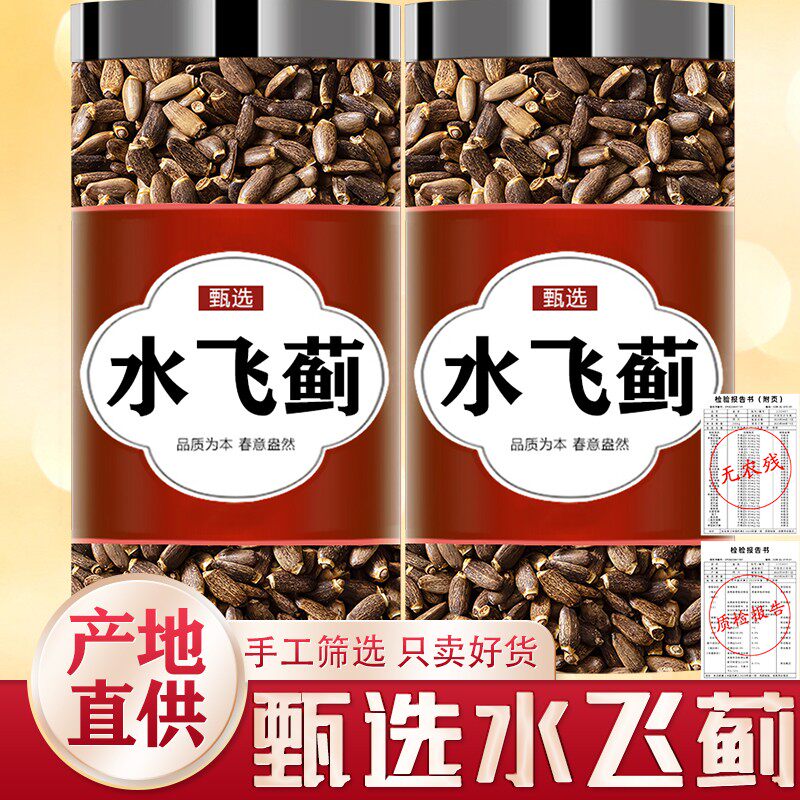 水飞蓟中药材奶蓟草中药材老籽水水飞蓟种子正品新货野生水飞雏籽