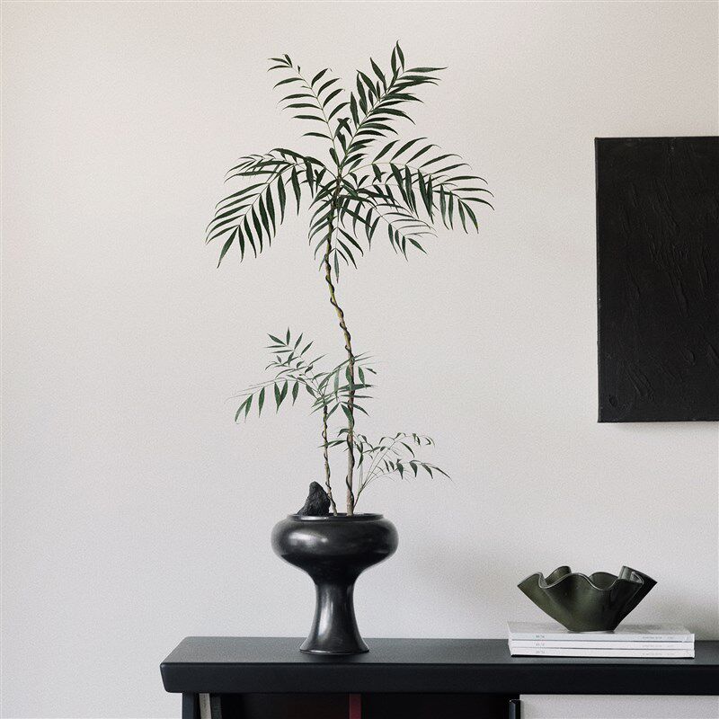 植物私生活 柳叶十大功劳书房茶室玄关软装绿植造型感植物盆栽