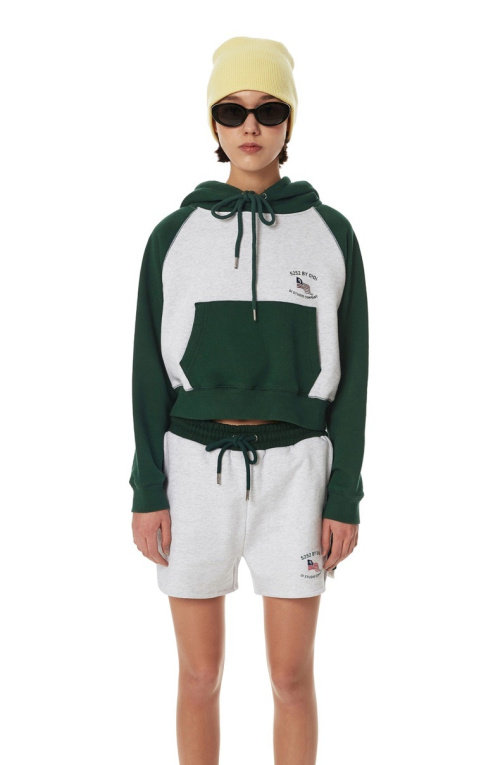 韩款 热爆 女款 美式校园风 短款 连帽  毛圈 卫衣