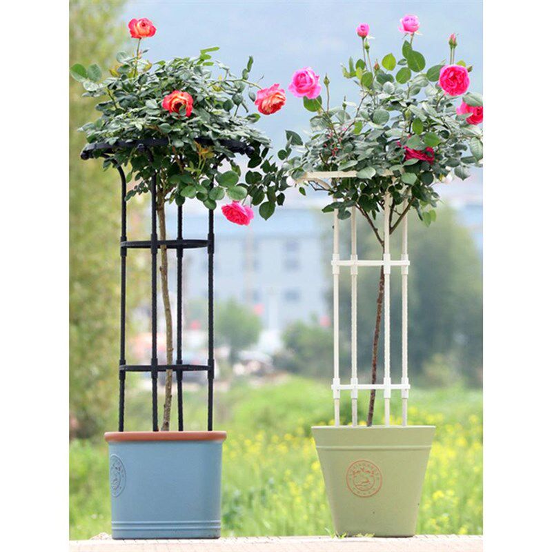 三角梅爬藤架欧式花架子固定架花支架植物种植造型支架蟹爪兰支撑