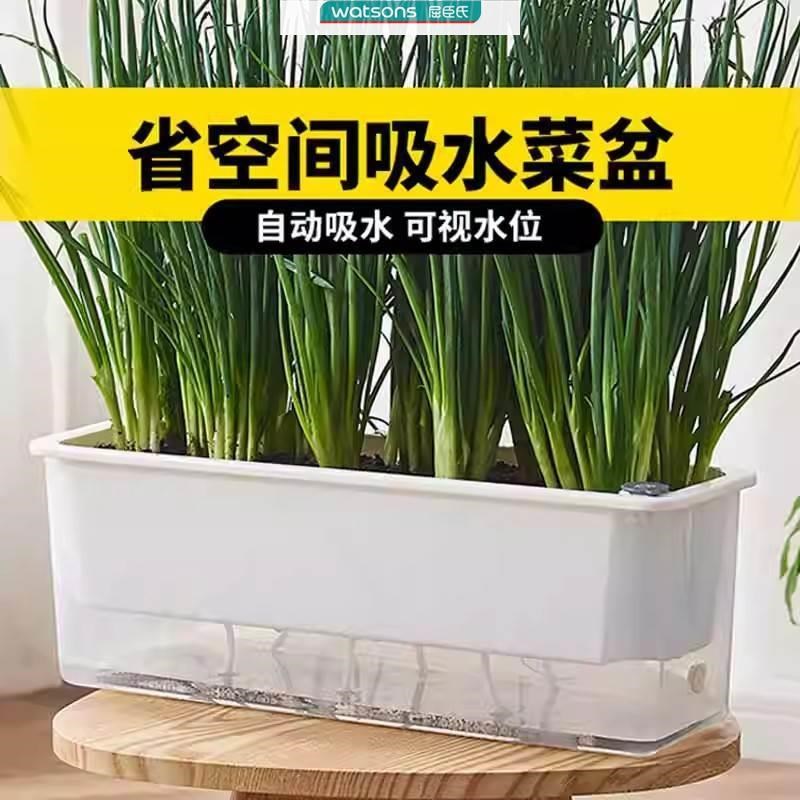 养葱神器室内种葱自吸水小花盆长盆薄荷种菜盆阳台种菜种植蔬菜