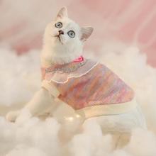 猫咪衣服冬季保暖幼猫布偶猫猫护肚子宠物的毛衣防掉毛小猫秋冬装
