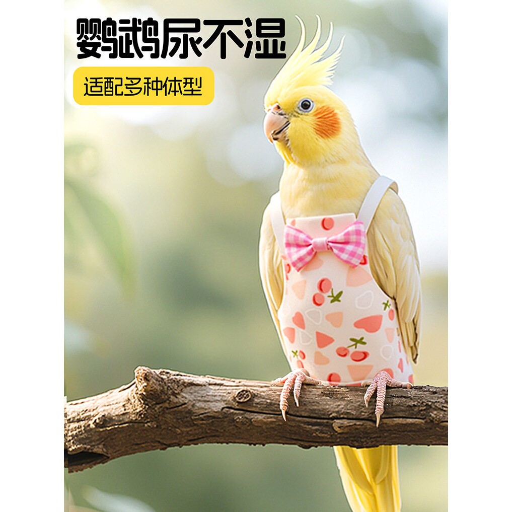 鹦鹉尿不湿屎兜一次性粪兜虎皮便兜小鸟牡丹纸尿裤小太阳屎兜垫子