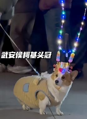 武安侯柯基头冠发光皇冠夜跑萌宠拍照玩具发箍武安侯同款头饰宠物