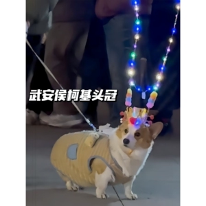 武安侯柯基头冠发光皇冠夜跑萌宠拍照玩具发箍武安侯同款头饰宠物