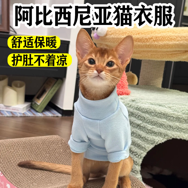 阿比西尼亚猫衣服防掉毛冬季宠物加厚打底小猫咪四季背心服饰用品