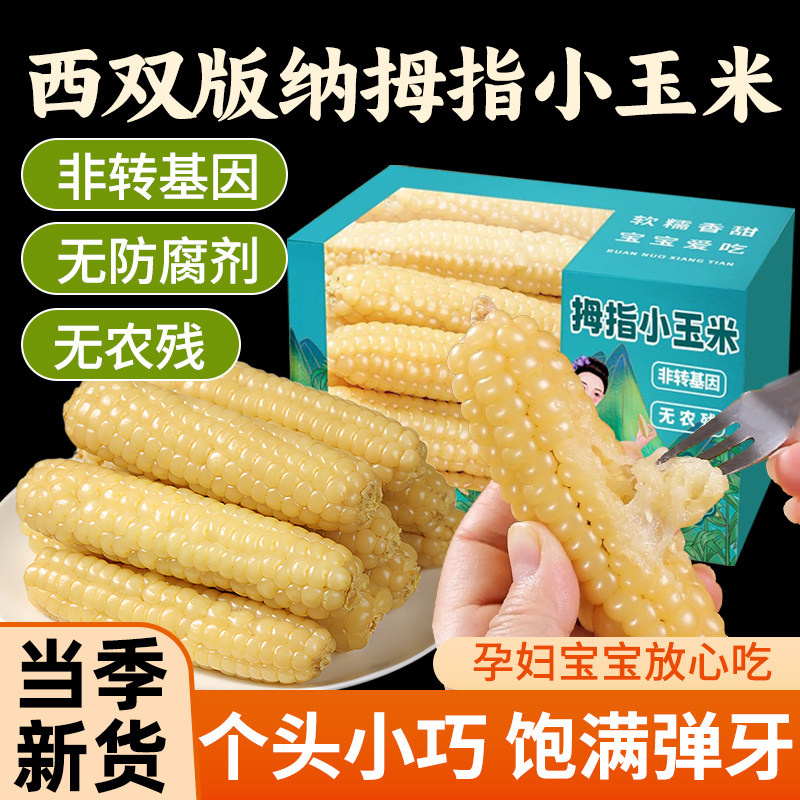 西双版纳拇指玉米真空粗粮健康低脂低糖健身代餐零食充饥早餐新鲜