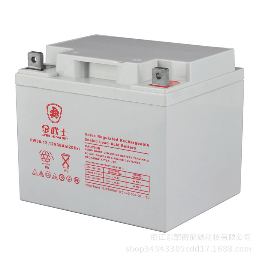 金武士蓄电池PW38/12直流