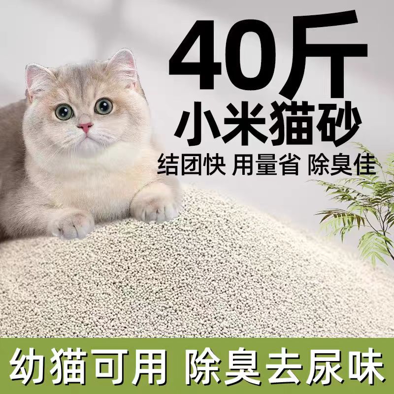 小米猫砂除臭去尿味猫砂幼猫专用