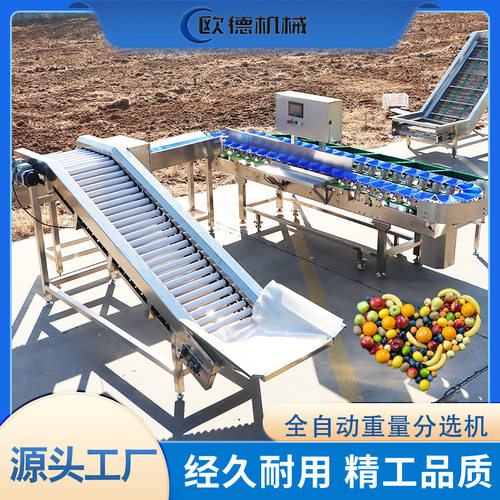 鸡爪分拣小龙虾海参自动分级机 生蚝重量分选机料盒工作快误差小