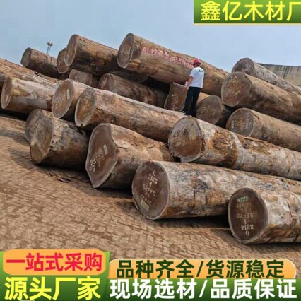 绿柄桑原木 柚木方料 适用家具室内装修地板园林建筑工程防腐木