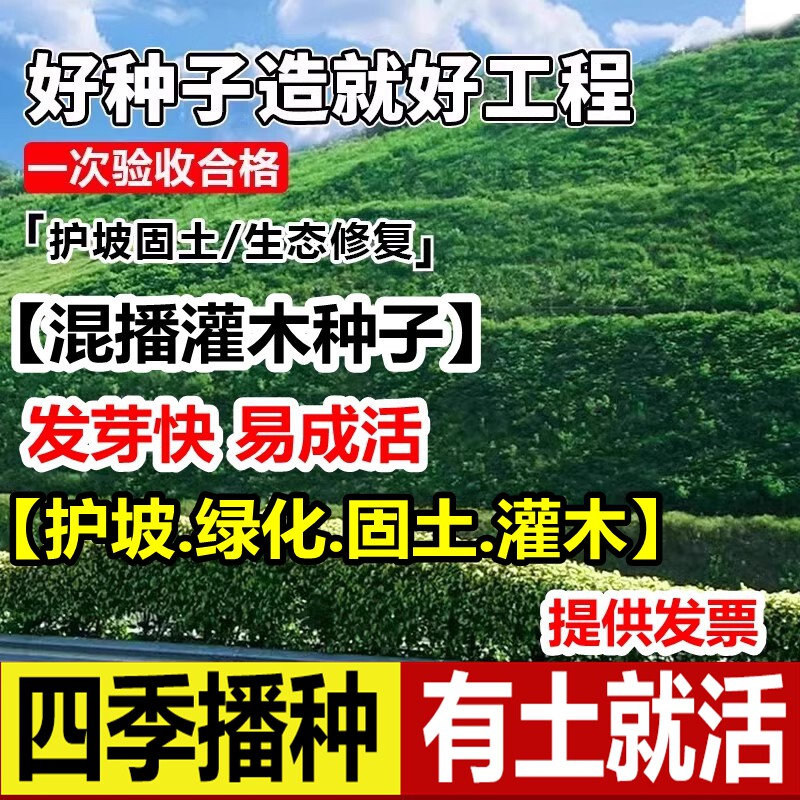 混播灌木草种籽护坡固土边