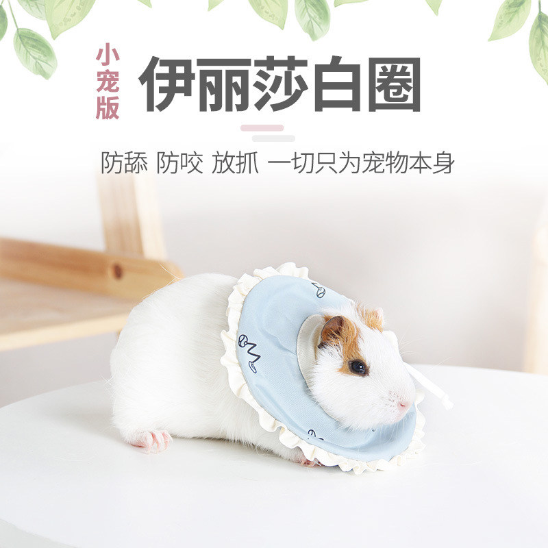 小宠伊丽莎白圈兔子仓鼠龙猫花枝鼠豚鼠荷兰猪防舔防挣脱项圈围脖