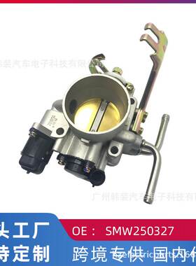 跨境 适用风行4G63/64/69 汽车节气门总成SMW250327 DLD55J