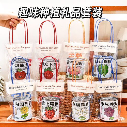 种植盲盒小盆栽创意小学生奖励奖品义卖小商品礼品幼儿园生日礼物