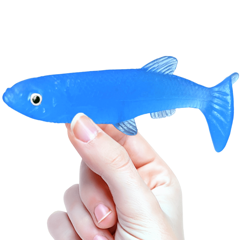 软胶彩色小号沙丁鱼玩具包邮