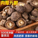 净重新货古田香菇干货肉厚无根鲜嫩香菇干货香菇煲汤炒菜好食材