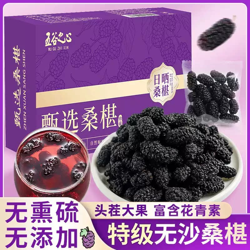 正宗桑葚新鲜黑桑椹特级官方正品新货免洗新鲜泡水泡酒泡茶桑葚