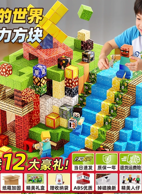 2025新款我的世界磁力方块小人积木MC磁铁吸铁石拼装玩具生日礼物