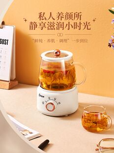乔小佳健康壶多功能健康杯小型迷你电炖杯办公茶机花茶壶保温