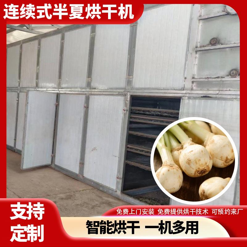 网带三叶半夏烘干机 三步跳地文电加热干燥机 全自动半夏烘干设备