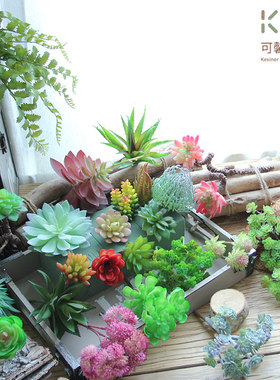 北欧仿真多肉植物小摆件假花绿植墙装饰组合创意搭配