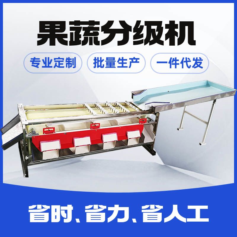 选果机分级橙子果蔬振动筛选机百香果柑橘分果机李子杨梅土豆分级