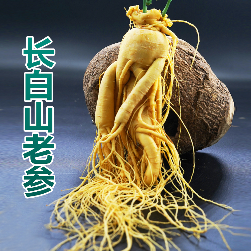 长白山老参煲汤火锅泡酒鲜人参礼盒装东北特产高品质保鲜参滋补