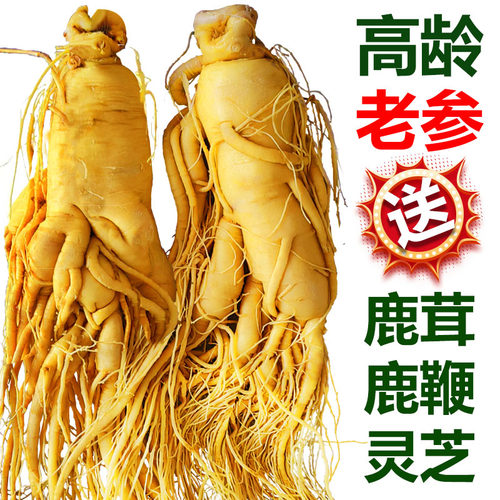 人参长白山人参中药材泡酒专用