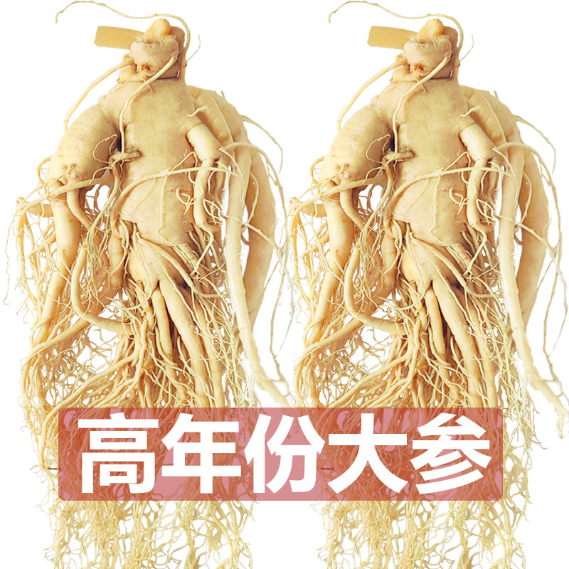 长白山人参煲汤泡酒鲜人参东北特产老参整枝滋补高品质保鲜参