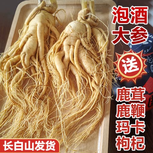 长白山人参泡酒大参东北特产