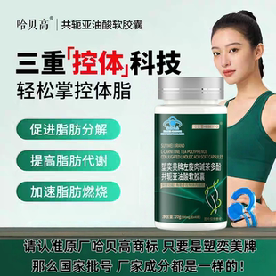 塑奕美牌左旋肉碱茶多酚共轭亚油酸软胶囊绿茶提取物减肥保健食品