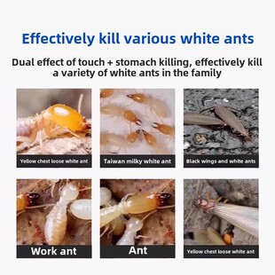 防治白蚁专用药，家用强力灭蚁及灭蚁神器，农用粉剂，高效无毒