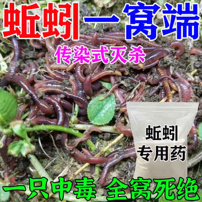 杀蚯蚓专用药红线虫杀虫剂厕所蛆虫灭蛆花盆菜园杀蚂蚁鼠妇蛴螬粉