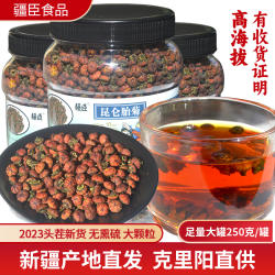 疆臣新疆昆仑雪菊胎菊昆仑天山血菊胎菊正品正宗克里阳雪菊胎菊花