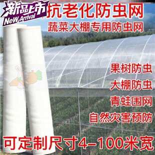 极速尼龙网布四季加厚密网1w9多功能果园薄款防蚊虫耐用葡萄地菜
