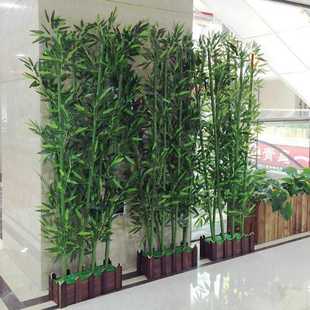 极速防腐处理绿竹竿 毛竹竿 粗竹竿 真竹子 橱窗装X饰干竹竿 风