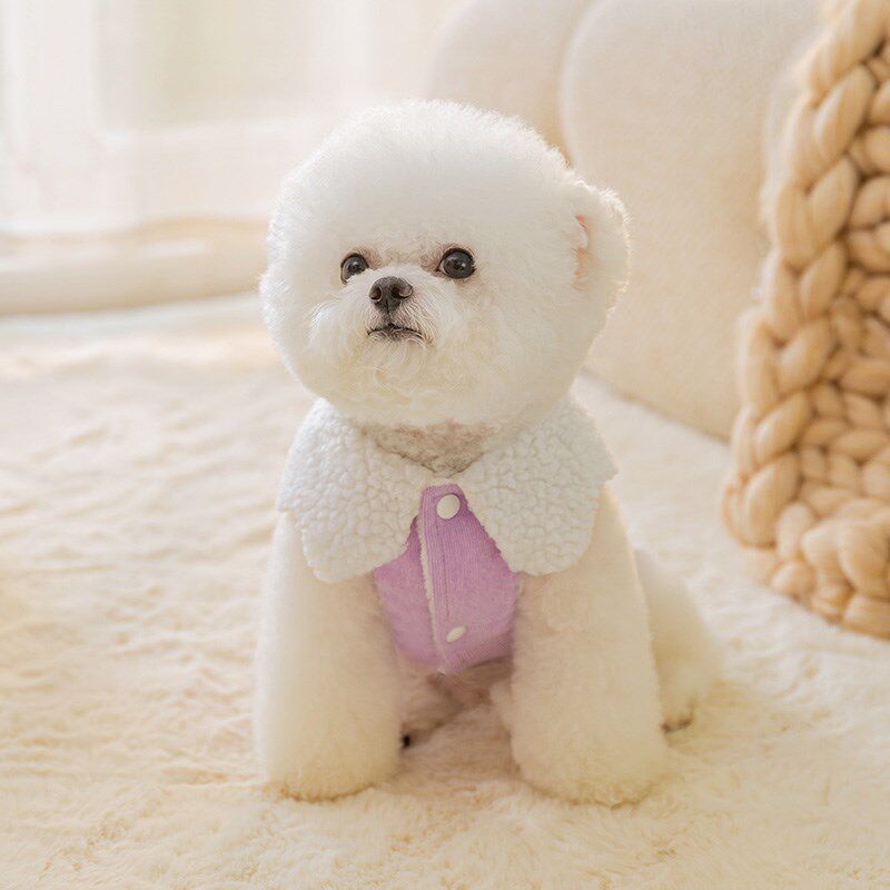 新品宠物狗狗灯芯绒立体笑脸花朵牵E引马甲秋冬衣服比熊泰迪博美