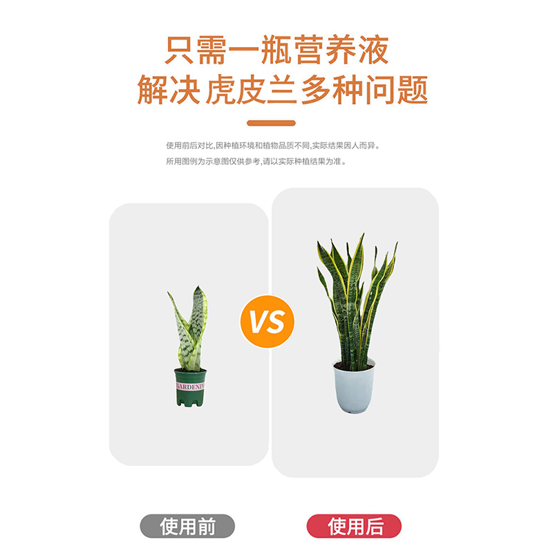 极速免稀释虎g皮兰肥料专用肥营养液虎尾兰金边家用盆栽植物通用