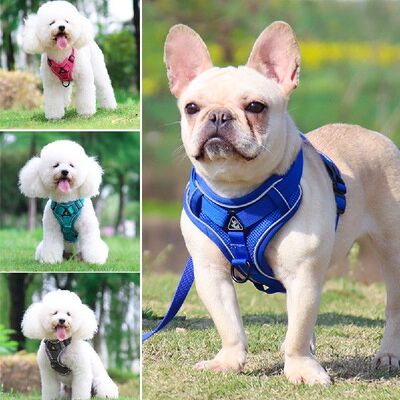极速Pet Leash Dog Harness Dog Collar Dog TrPaction Rope Set