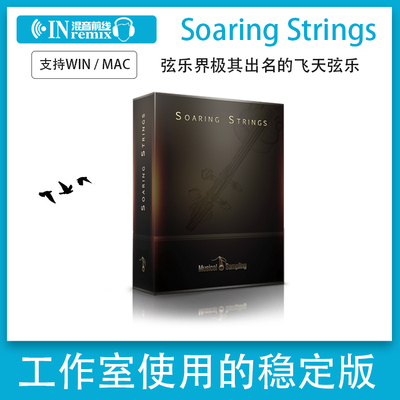 飞天弦乐Musical Sampling Soaring Strings提琴音源Kontakt音色