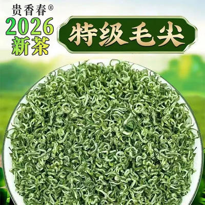 茶叶2026新茶明前特级贵州毛尖茶