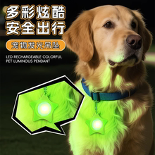 遛狗灯夜间遛狗发光灯宠物夜行灯发光项圈防丢灯神器充电发光吊坠