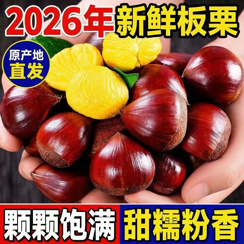 板栗生新鲜2026年新栗子5斤农家现摘毛栗子正宗油栗非迁西大板栗1
