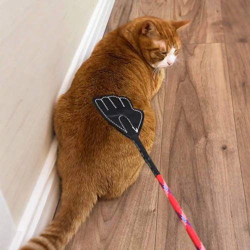 【拍猫咪屁股狂热爱好者】逗猫棒猫咪解闷小玩具训狗神器不伤宠物