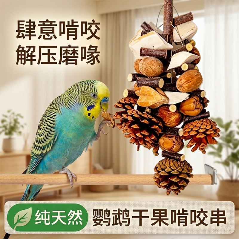 鹦鹉啃咬玩具纯天然干果松果串虎皮玄凤牡丹解压磨嘴神器鸟用品