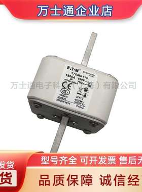 170M6108/6109/6110/6111/6112/6113/6114全新熔断器现货