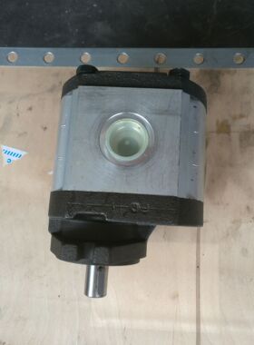 力荐RONZIO罗茨02ZAG14C035D齿轮泵全网特推奔走相告