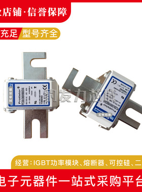 A100UD73LI1100 N300691A100UD73LI1250 J301193全新熔断器