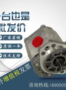 康斯克齿轮泵WK09A1B060/080/110/140/160/190/230R03BA150N